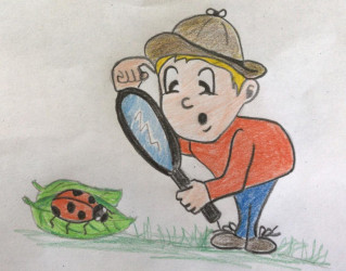 Die kleinen Forscher Die kleinen Forscher